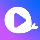 免费行情网站入口,直接看APPAPP应用